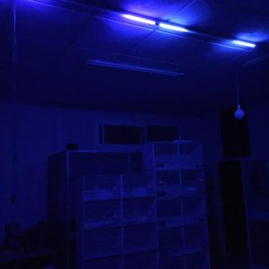 Set regleta LED 120 cm + Adaptador de corriente 12v para conectar a programador Amanecer Anochecer con efecto luna para la noche